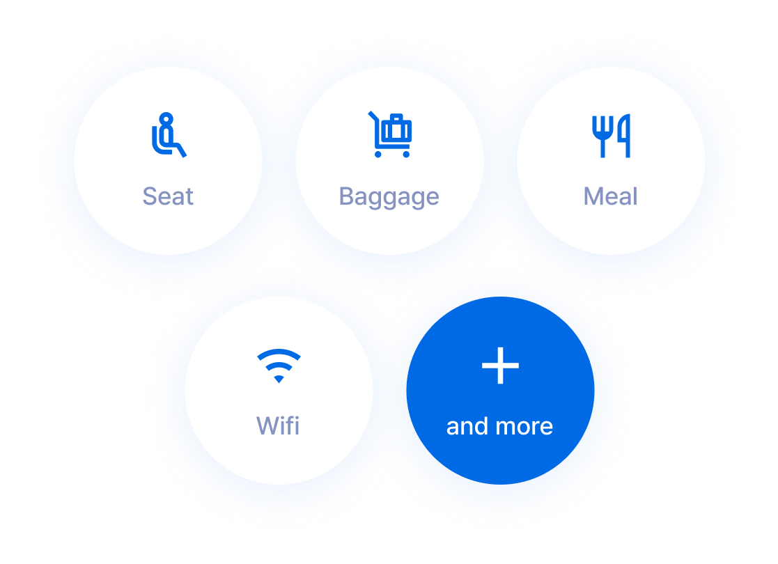 A graphic displaying various ancillaries